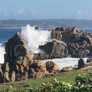 Meet your Posher, Jody